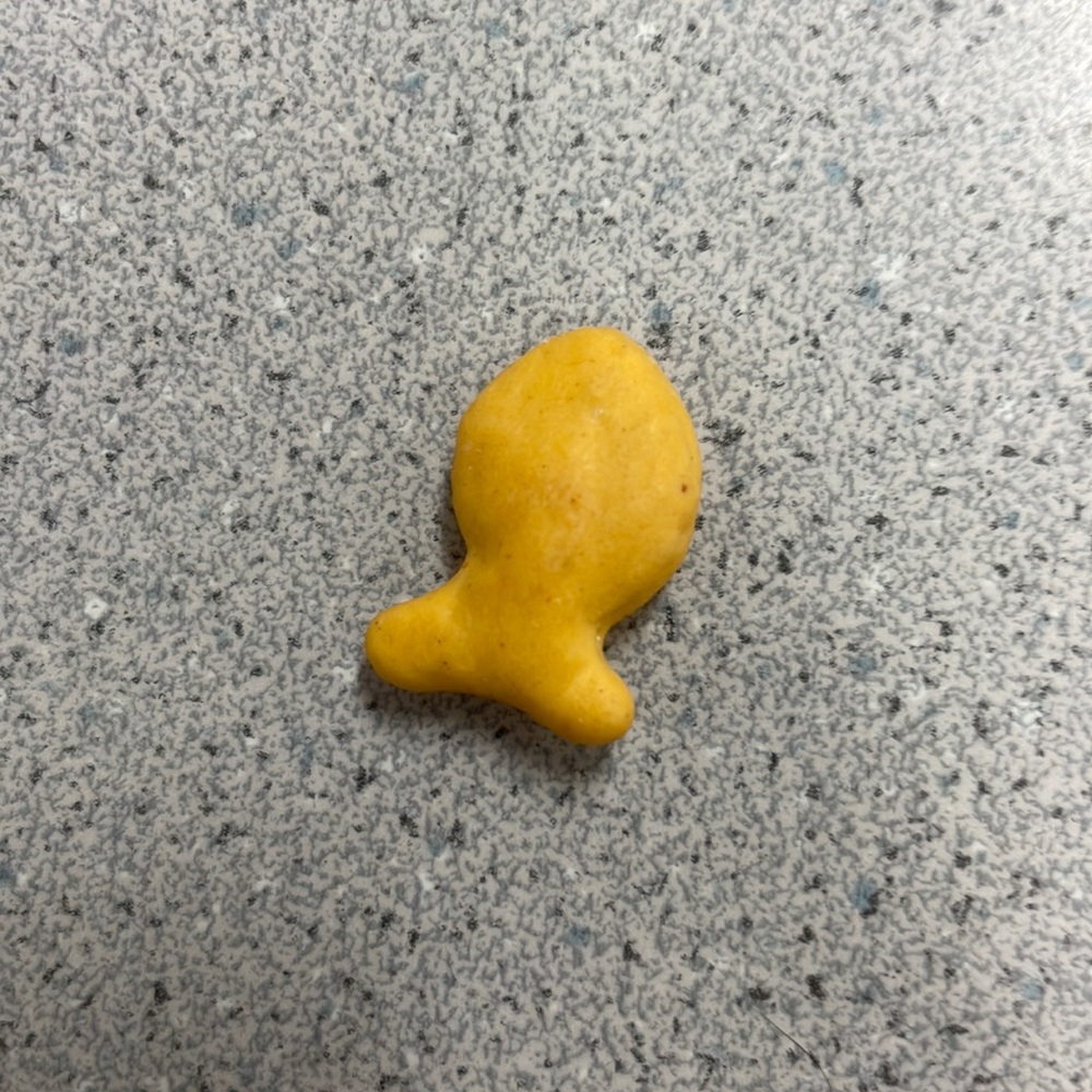 Yum goldfish very valuable
